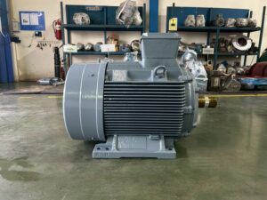 "ผลงานบริการซ่อมบำรุง พันขดลวดสเตเตอร์ และ Overhaul มอเตอร์ไฟฟ้า AC ยี่ห้อ Siemens ขนาด 75 kW โดยทีมช่างผู้เชี่ยวชาญ บริษัท ฟิวเจอร์เทค อิเล็คทริค จำกัด ซ่อมเพลาเลเซอร์ ตรวจสอบรอยแตกร้าวด้วยวิธี PT เปลี่ยนแบริ่ง SKF และถ่วงสมดุล Dynamic Balance ได้มาตรฐานโรงงาน"